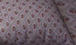 【欧美SLG/汉化/动态】探索大苹果Ep.2汉化版【PC+安卓/491MB/更新】